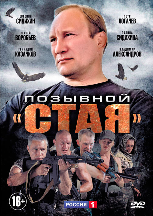 Позывной «Стая» (2013)